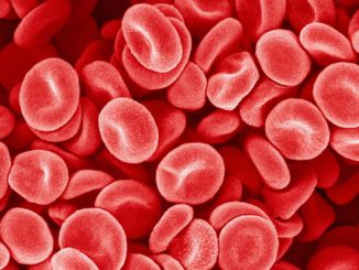 Как снизить уровень тромбоцитов в крови — Полезная информация